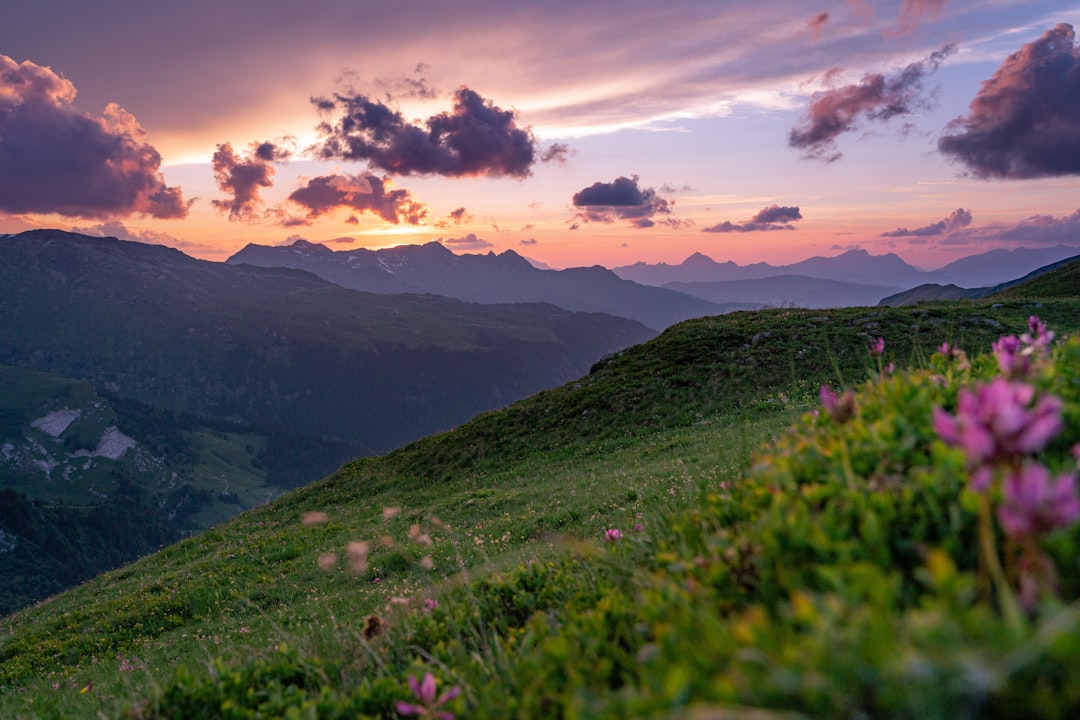 Eco-Friendly Travel: A Sustainable Journey into the Heart of Nature